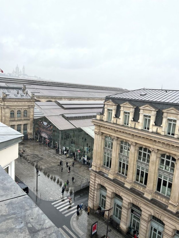 Another view of the Gare du Nord and Paris street scene from above